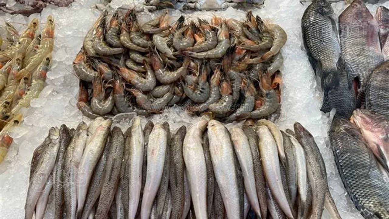 سعر السمك اليوم في سوق العبور: انخفاض ملحوظ بأسعار البلطي والمكرونة والكابوريا مع استقرار الجمبري